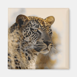 Íman Ímãs do safari do leopardo