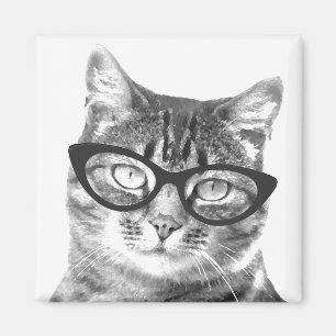 Íman Ímãs engraçados da foto do gato