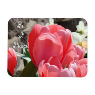 Íman Ímãs Jardim de Flores Tulipa Primavera Esteja em P