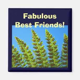 Íman Ímãs Melhores Amigos Fabulosos! Folhas de Samambai