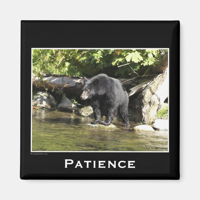 Íman Ímãs Motivacionais de Urso Negro (Frente)