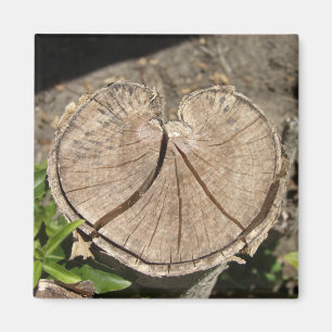 Íman Ímãs rachados do coto do coração