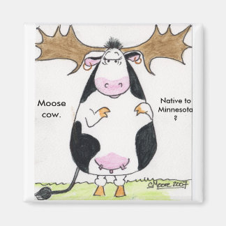 Íman img0002111, vaca alce, nativo para Minnesota?