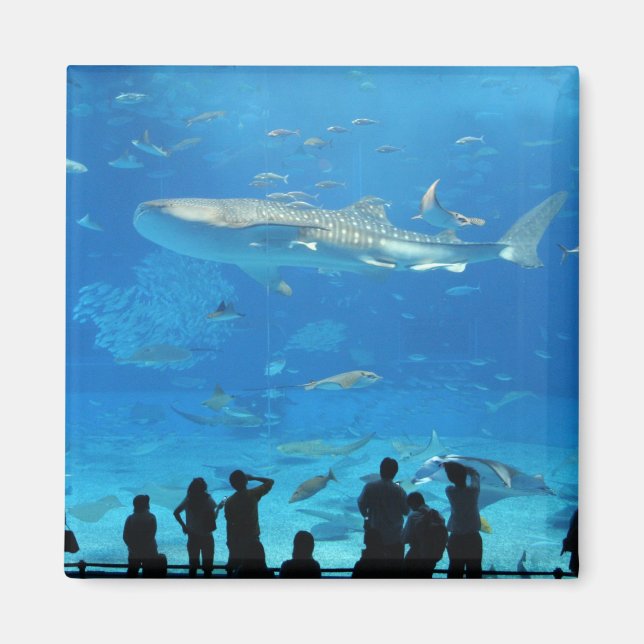 ÍMAN IMG_0598 (Frente)