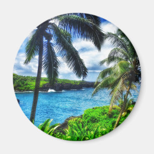 Íman IMG_1122 4 Praia Negra da Cena Havaiana