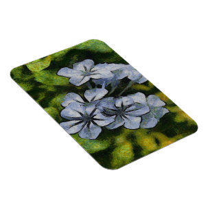 Íman Impressão Azul do Flor do Plumbago
