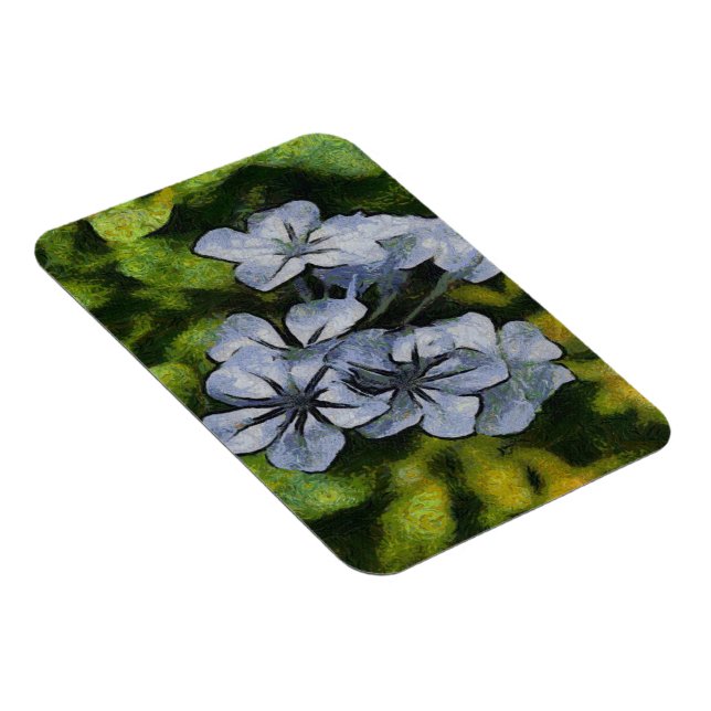 Íman Impressão Azul do Flor do Plumbago (Lado Direito)