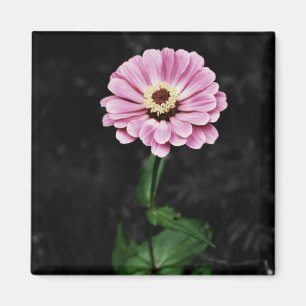 Íman Impressão duradoura