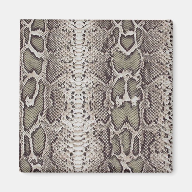 Íman Impressão em Animais do Snakeskin (Frente)