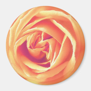 Íman impressão rosa de cor laranja suave