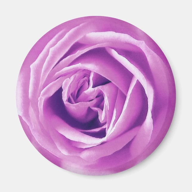 Íman impressão rosa lavanda (Frente)