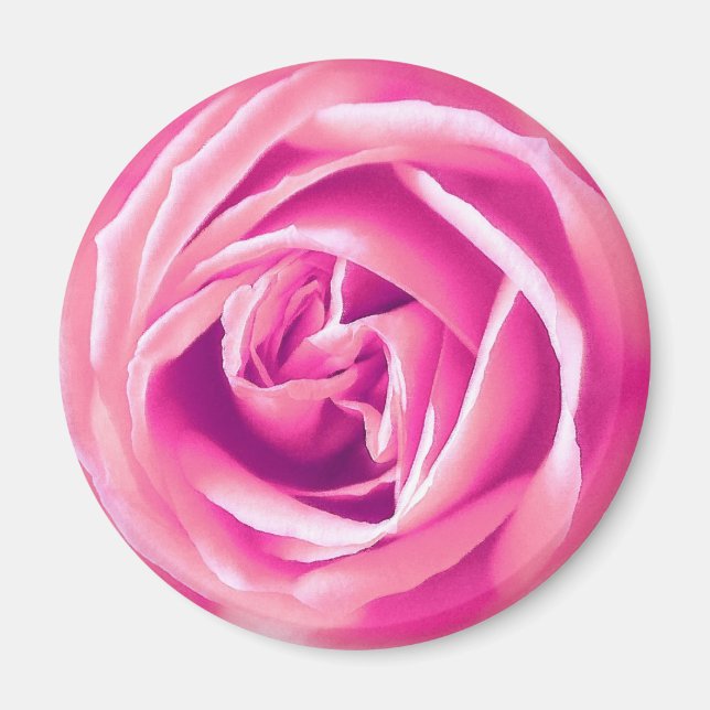 Íman Impressão rosa rosa (Frente)