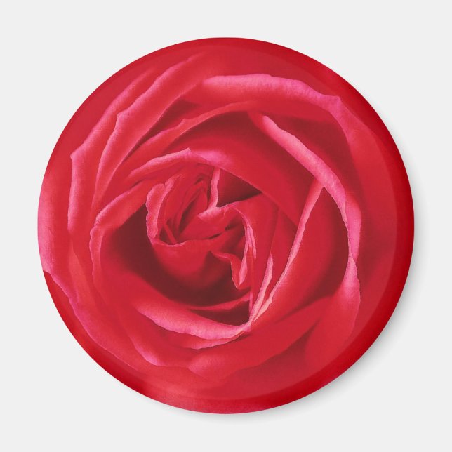Íman impressão rosa vermelha (Frente)