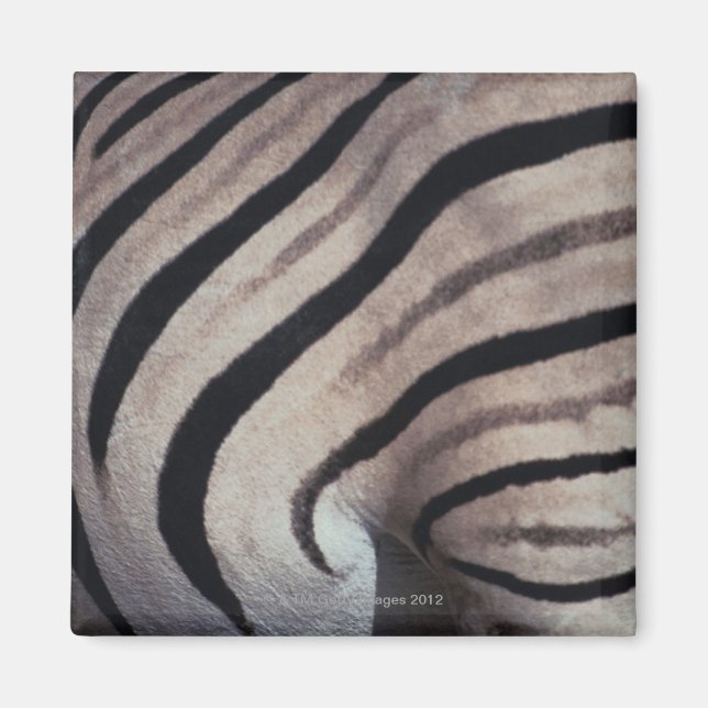 Íman Impressão zebra (Frente)