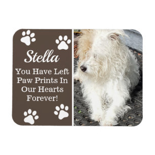 Íman Impressões em nosso coração, perda da pata de