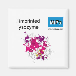 Íman Imprimi ímã de lisozima