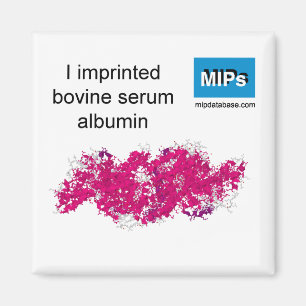 Íman Imprimi o ímã BSA