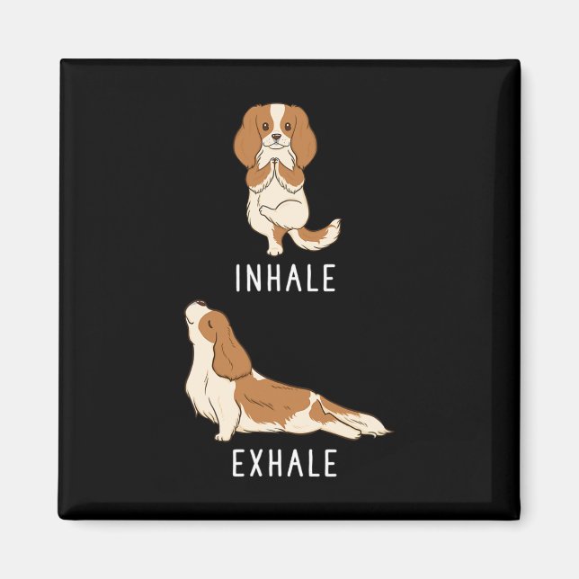 Íman Inalar Exalar Cavalier King Charles Spaniel Engraç (Frente)
