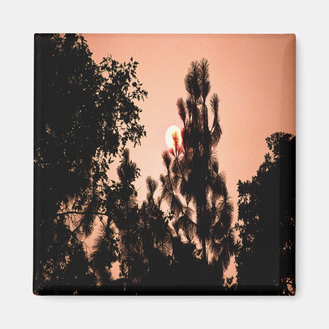 Íman Incêndio no Vale do Índio........ (Frente)