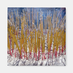 Íman Incenso num templo, Zhongdian, Yunnan - China