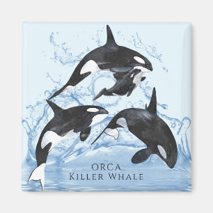 Íman Incrível "Black and White Watercolor Orcas"