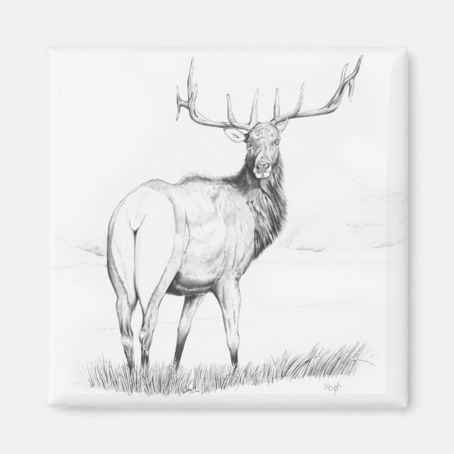 Íman Indecisão - Elk Magnet (Frente)