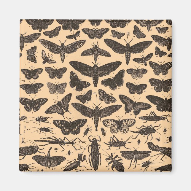 Íman indefinido (Frente)