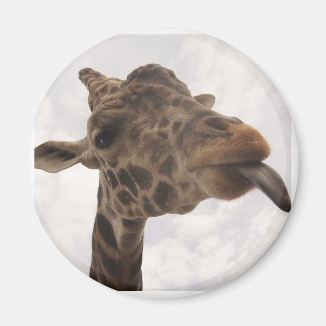 Íman indefinido (Frente)