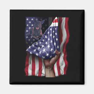 Íman Independência dos Estados Unidos Bandeira Holandes