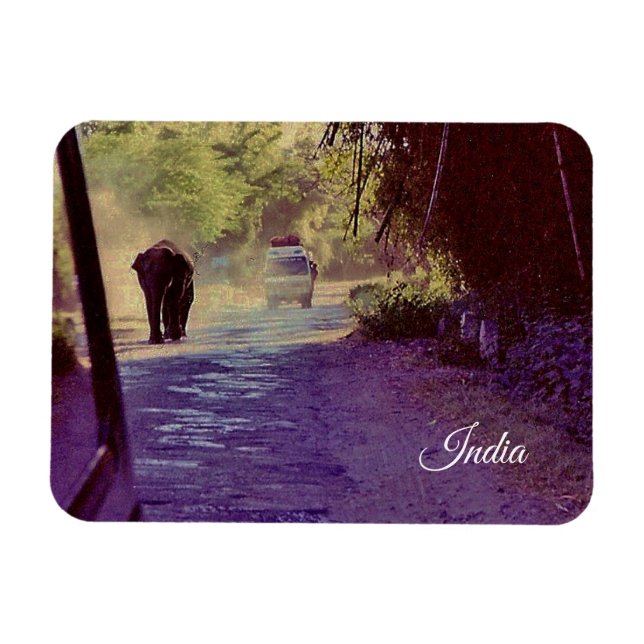 Íman Índia (Horizontal)