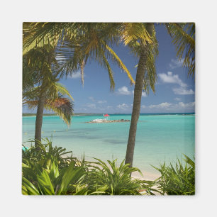 Íman Índias Ocidentais Francesas, Guadeloupe, Grande Te