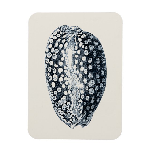 Íman Indigo Seashell (Vertical)