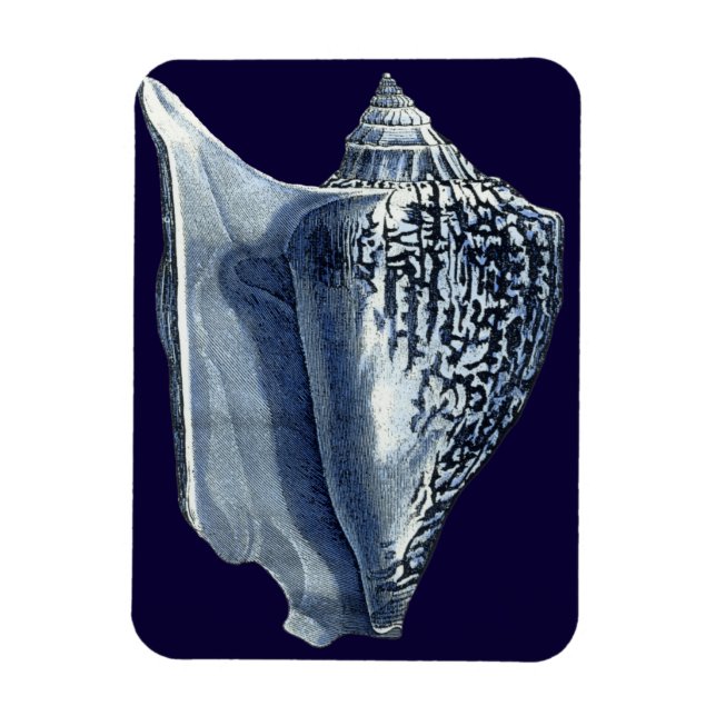 Íman Indigo Shells I (Vertical)