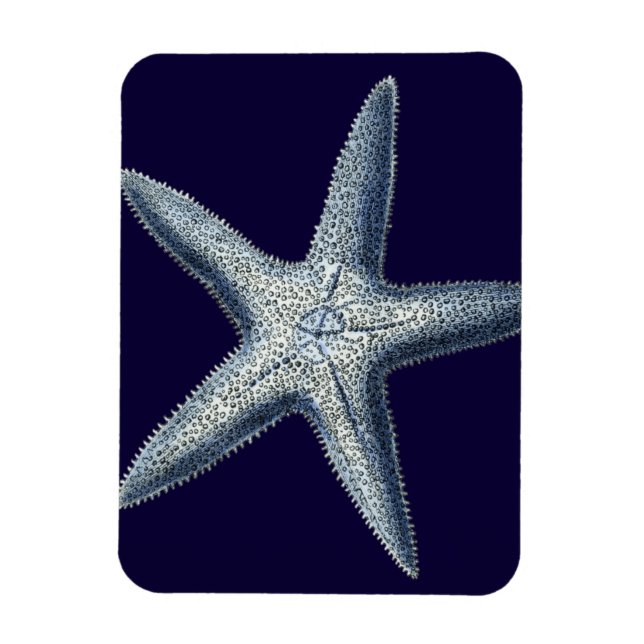 Íman Indigo Shells IV (Vertical)