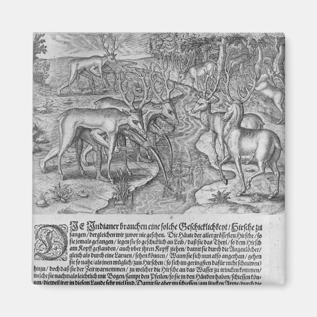 Íman Índios da Flórida caçando veados (Frente)