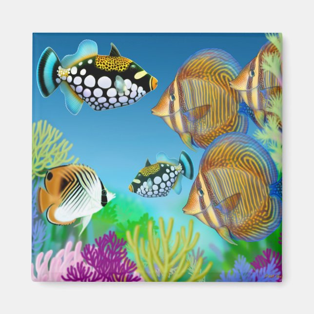 Íman Indo Pacífico Reef Fish Magnet (Frente)