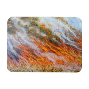 Íman Inferno 2014 do Bushfire