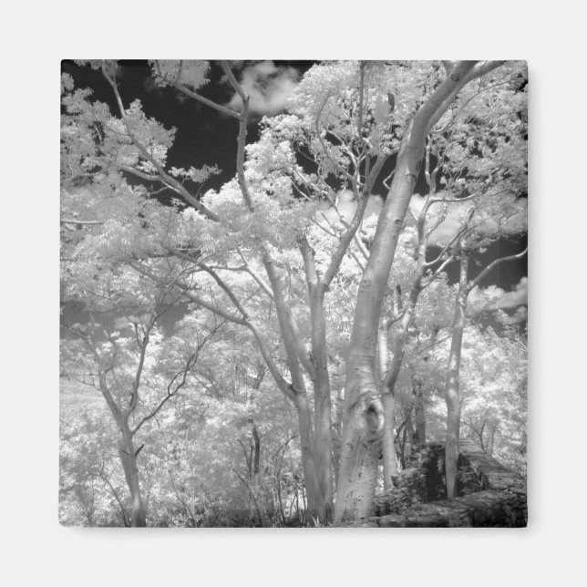 Íman Infravermelho de árvores, edifícios e trilhas em L (Frente)