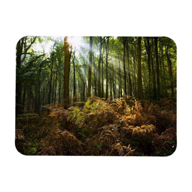 Íman Inglaterra. Raios de luz solar passando (Horizontal)