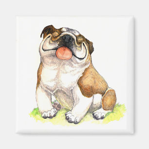 Íman Inglês - Bulldog - Cachorro de Cartoon Magnet