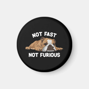 Íman Inglês Bulldog Dormindo Não Rápido Não É Fundão Fu