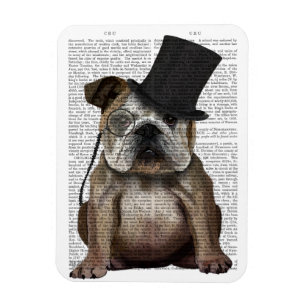 Íman Inglês Bulldog, Formal Hound e Hat