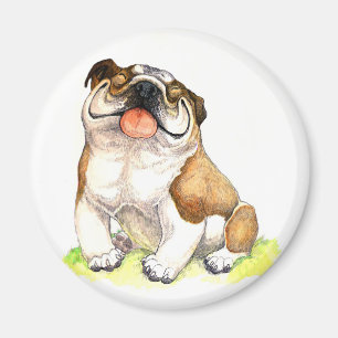 Íman Inglês Bulldog Refrigerator Magnet