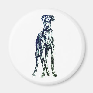 Íman Inglês Greyhound Breed Magnet