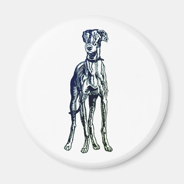 Íman Inglês Greyhound Breed Magnet (Frente)