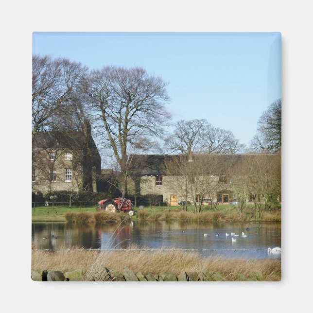 Íman Inglês magro do pátio (Frente)