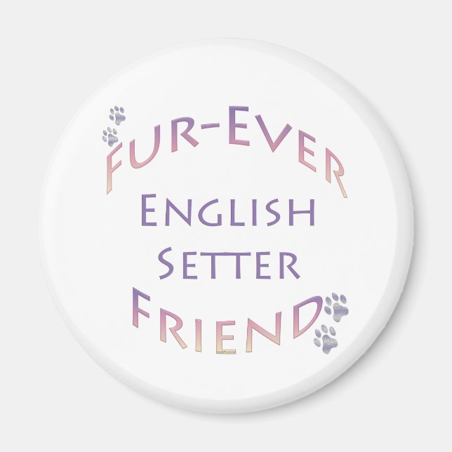 Íman Inglês Setter Fuere (Frente)