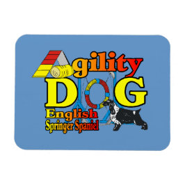 Íman Inglês Springer Spaniel Agilidade