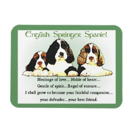 Íman Inglês Springer Spaniel Heritage of Love
