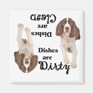Íman Inglês Springer Spaniel lança o lava-louça
